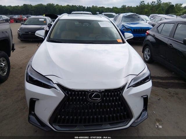 2025 LEXUS NX 350 PREMIUM 12