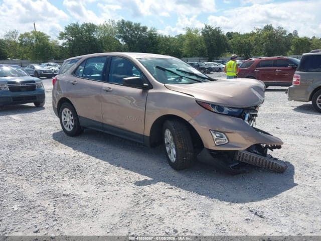 2019 CHEVROLET EQUINOX LS - 1