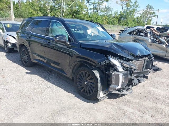 2024 HYUNDAI PALISADE CALLIGRAPHY NIGHT EDITION 1