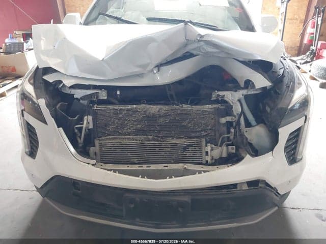 2019 CADILLAC XT4 PREMIUM LUXURY 6