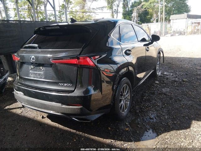 2019 LEXUS NX 300 2