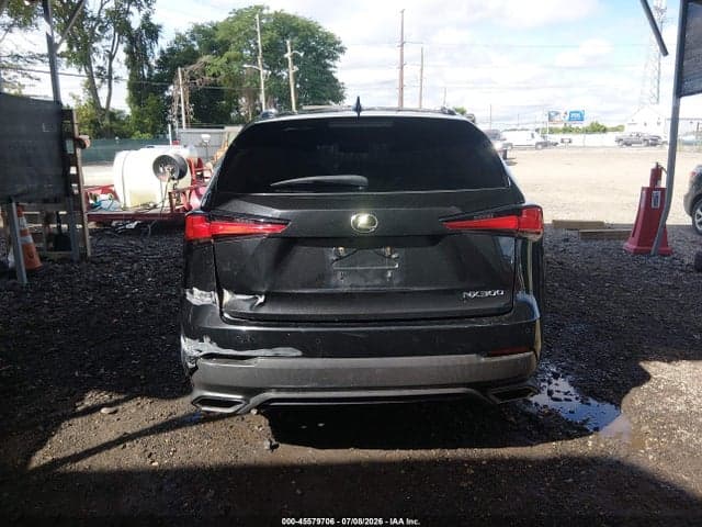 2019 LEXUS NX 300 17