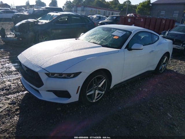 2024 FORD MUSTANG ECOBOOST FASTBACK 2