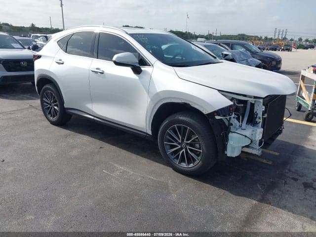 2025 LEXUS NX 250 PREMIUM - 1