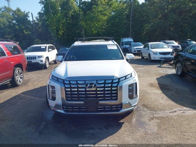 2024 HYUNDAI PALISADE CALLIGRAPHY 12