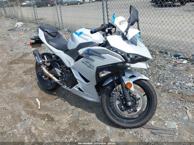 2025 KAWASAKI EX500 - 1