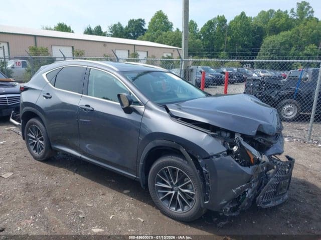 2025 LEXUS NX 350 PREMIUM - 1