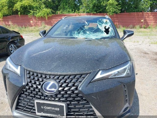 2020 LEXUS UX 250H 6
