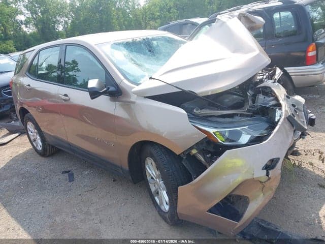 2019 CHEVROLET EQUINOX LS 1