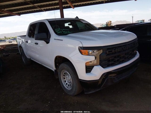 2024 CHEVROLET SILVERADO 1500 4WD SHORT BED WT - 1