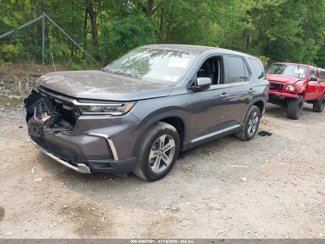 2024 HONDA PILOT EX-L 7 PASSENGER 2