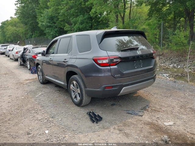2024 HONDA PILOT EX-L 7 PASSENGER 3