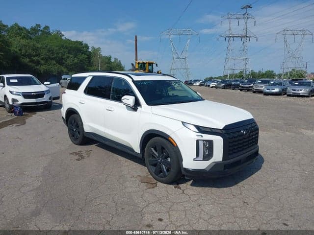2025 HYUNDAI PALISADE XRT - 1