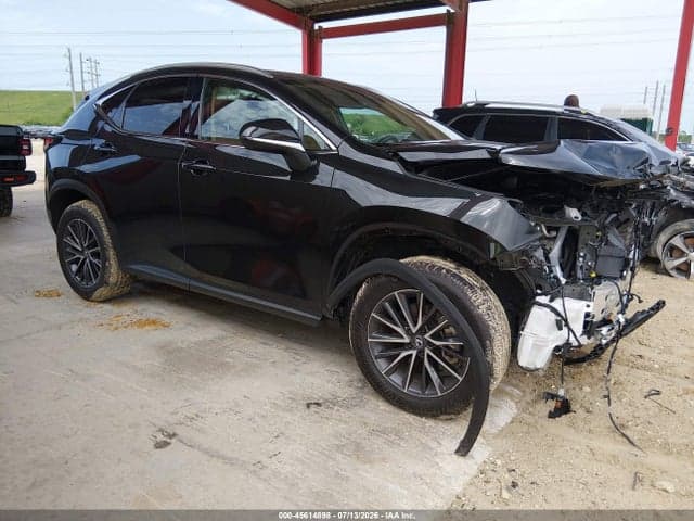 2025 LEXUS NX 250 1
