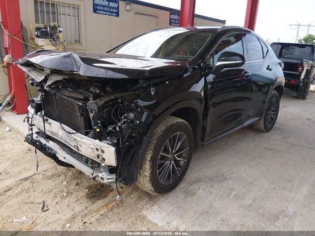 2025 LEXUS NX 250 2