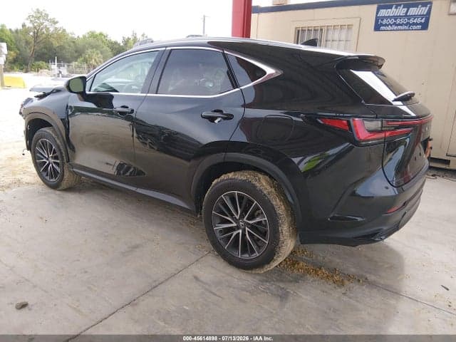 2025 LEXUS NX 250 3