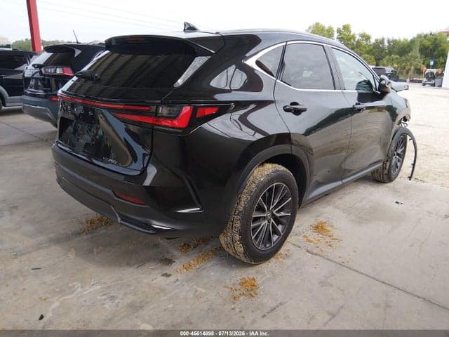 2025 LEXUS NX 250 4