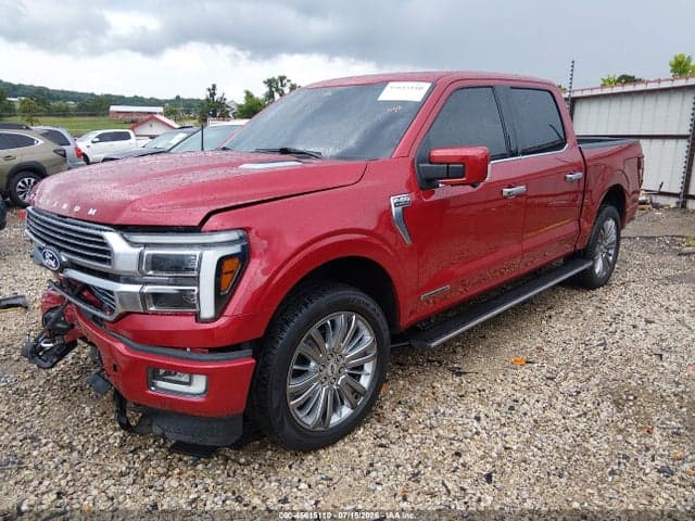 2024 FORD F-150 PLATINUM 2