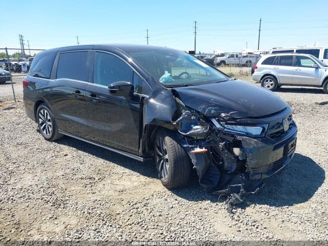 2025 HONDA ODYSSEY EX-L - 1