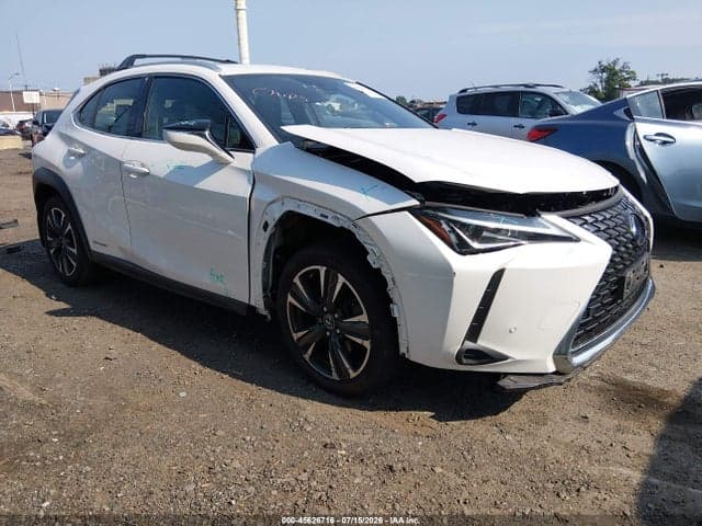 2019 LEXUS UX 250H 1