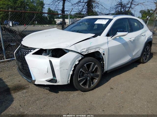 2019 LEXUS UX 250H 2