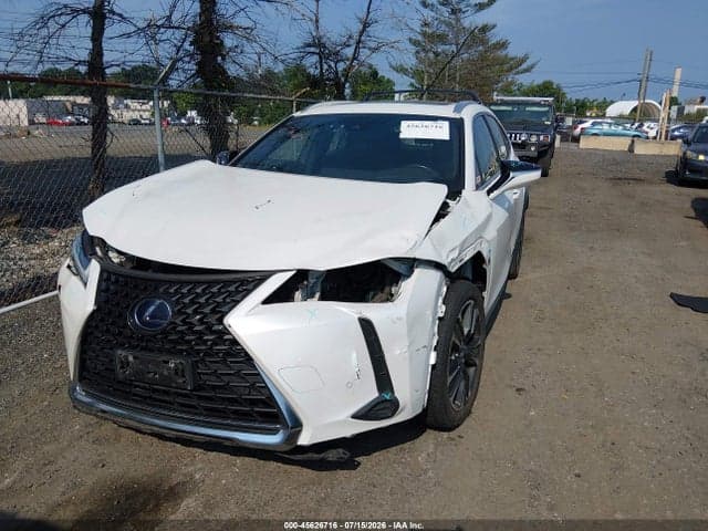 2019 LEXUS UX 250H 6