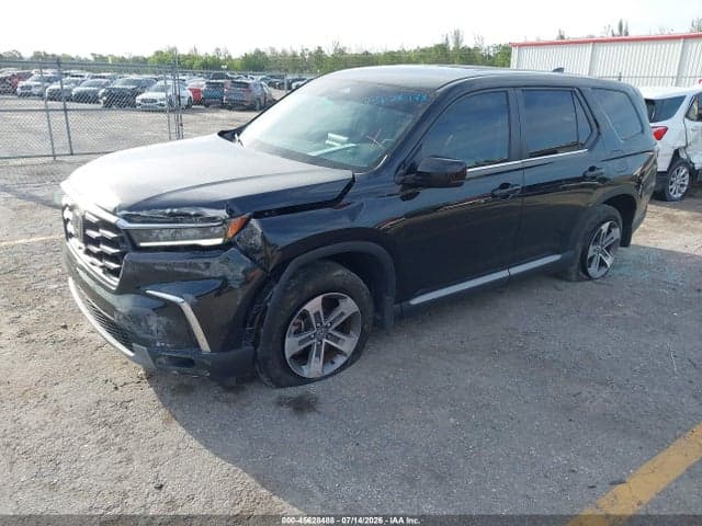 2024 HONDA PILOT EX-L 7 PASSENGER 2