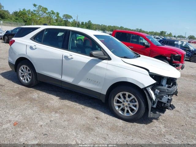 2019 CHEVROLET EQUINOX LS 1