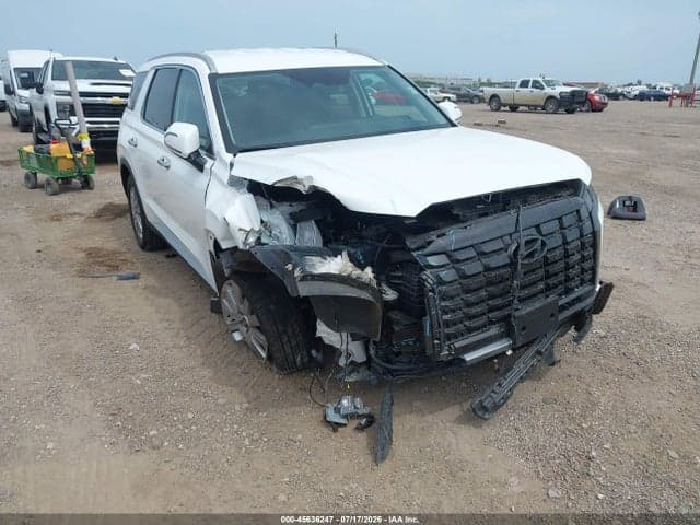 2025 HYUNDAI PALISADE SEL 1