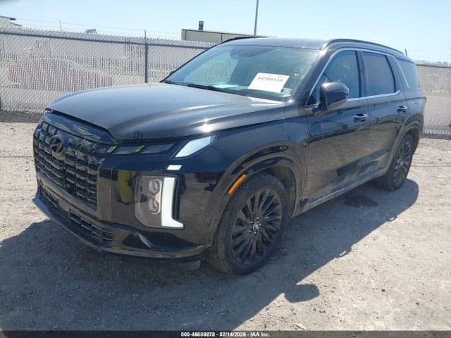 2024 HYUNDAI PALISADE CALLIGRAPHY NIGHT EDITION 2