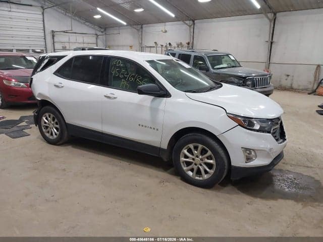 2019 CHEVROLET EQUINOX LS 1