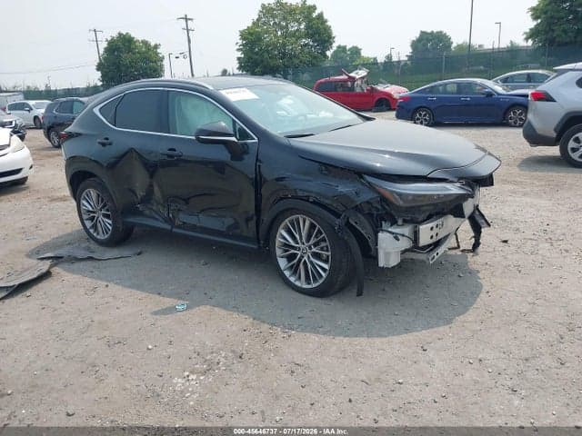 2025 LEXUS NX 350H PREMIUM - 1