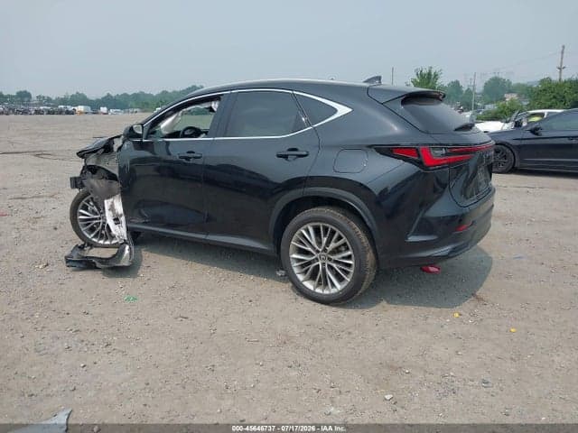 2025 LEXUS NX 350H PREMIUM 3