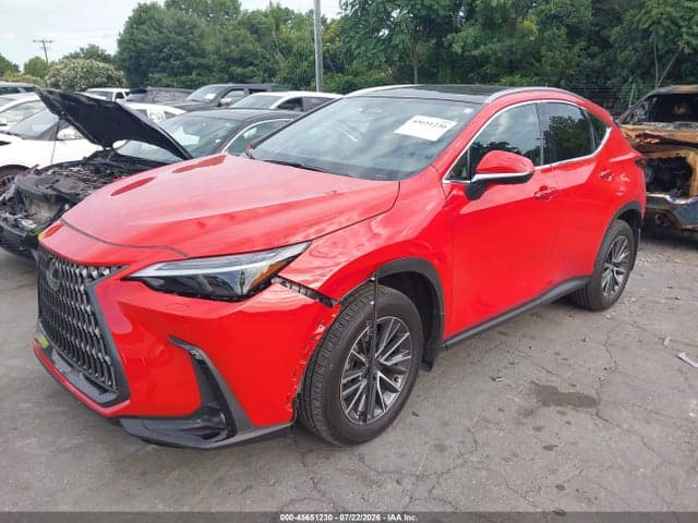 2024 LEXUS NX 350H LUXURY 2