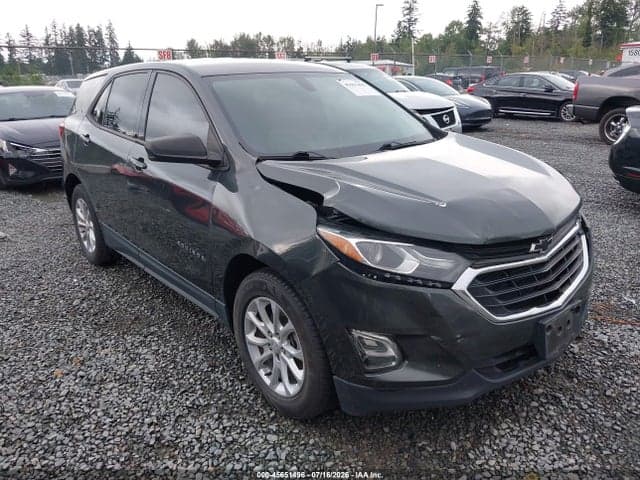 2019 CHEVROLET EQUINOX LS 1