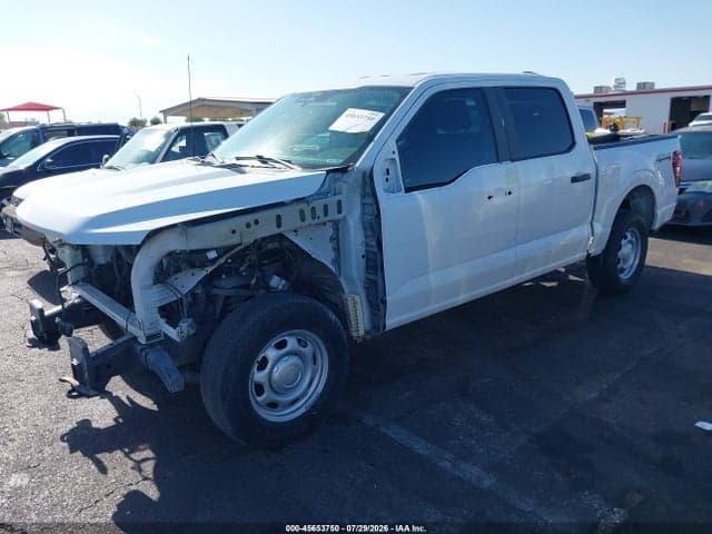 2024 FORD F-150 XL 2