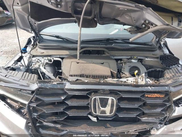 2025 HONDA PILOT TRAILSPORT 10