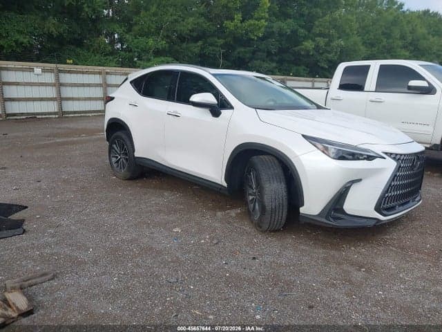 2025 LEXUS NX 350 PREMIUM - 1