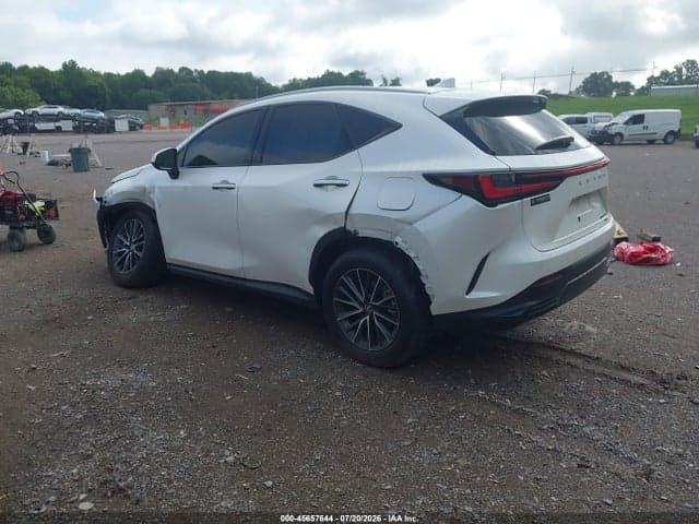2025 LEXUS NX 350 PREMIUM 3