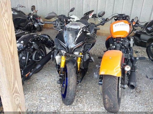 2025 YAMAHA MTN1000 D 5