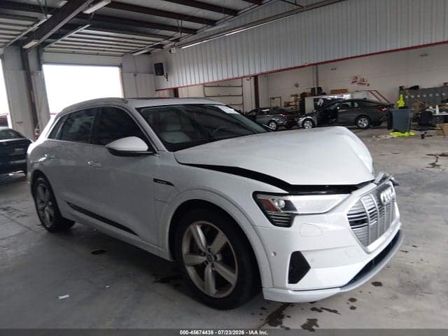 2019 AUDI E-TRON PREMIUM PLUS 1