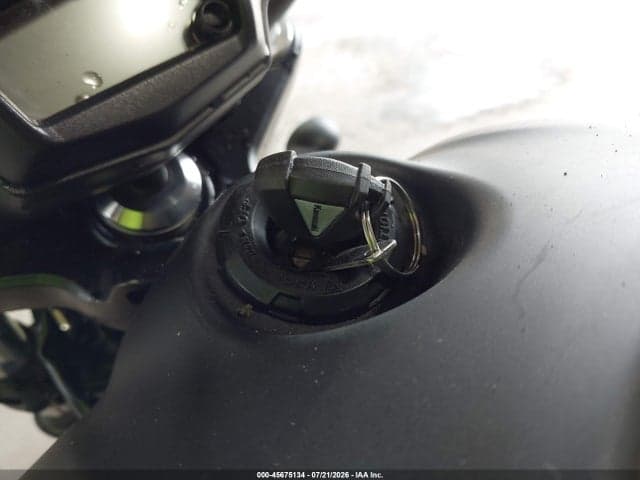 2024 KAWASAKI EN650 D 11