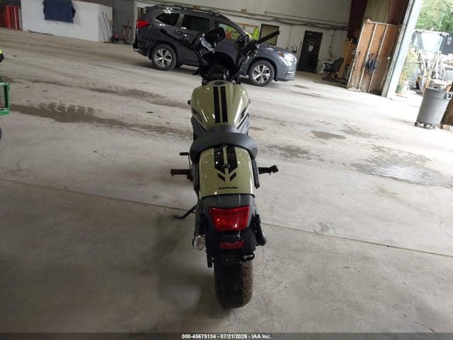 2024 KAWASAKI EN650 D 6