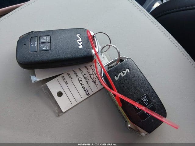 2024 KIA CARNIVAL MPV EX 11