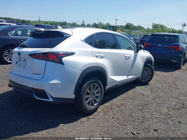 2020 LEXUS NX 300H 4