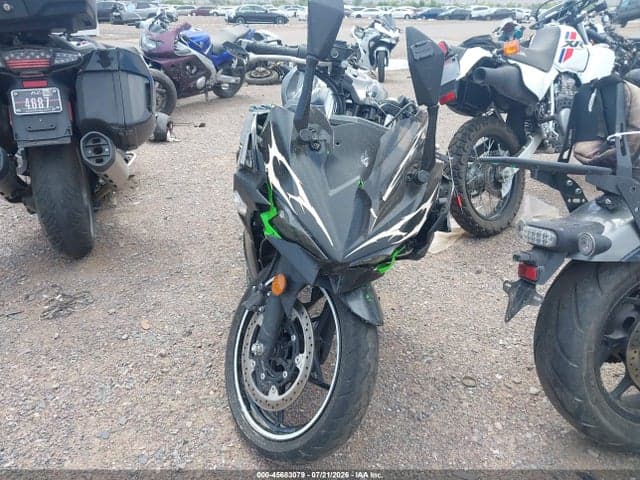 2025 KAWASAKI EX500 H 5