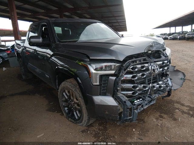 2023 TOYOTA TUNDRA PLATINUM - 1
