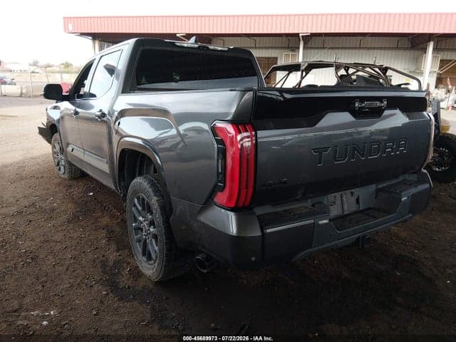 2023 TOYOTA TUNDRA PLATINUM 3