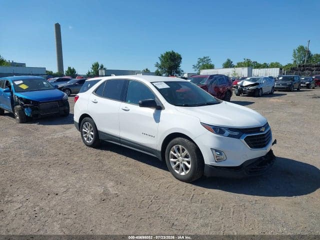 2019 CHEVROLET EQUINOX LS 1