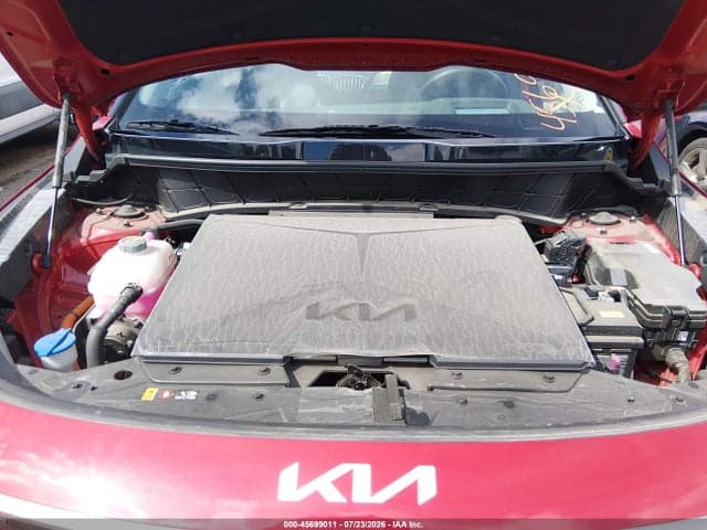 2024 KIA NIRO EV WAVE 10